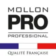 Mollon Pro